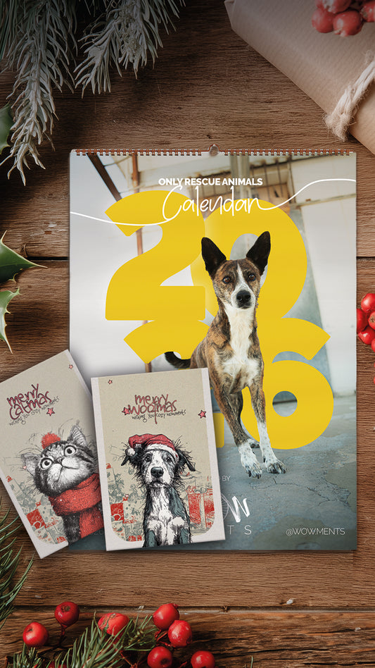 🎄 Christmas-Bundle – Kalender + 2 Weihnachtskarten 🐾✨